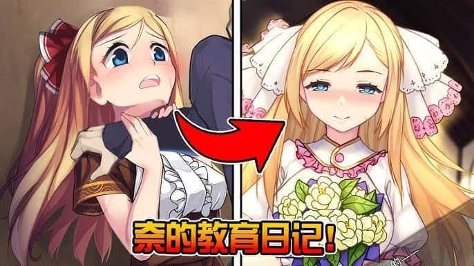 奈的教育日记 攻略要点 展示图 1